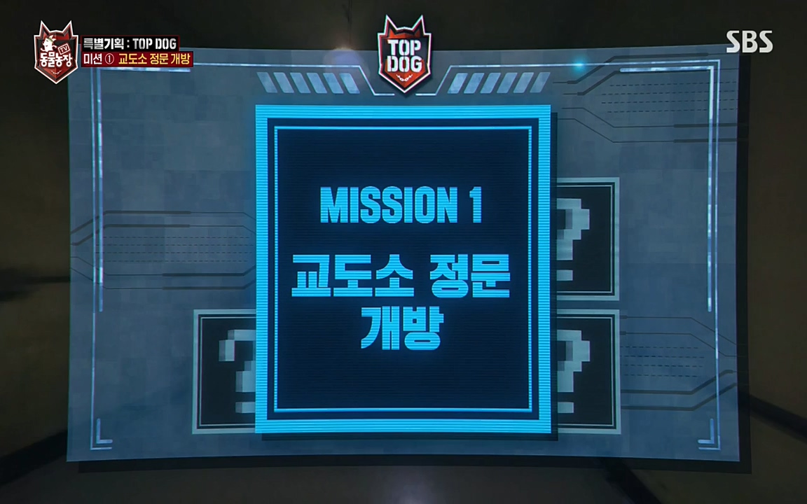 TV 동물농장.E1085.220905p-NEXT.mp4_20220904_173602.116.jpg