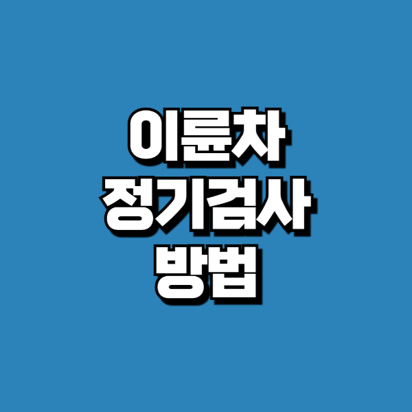 이륜차 정기검사 방법