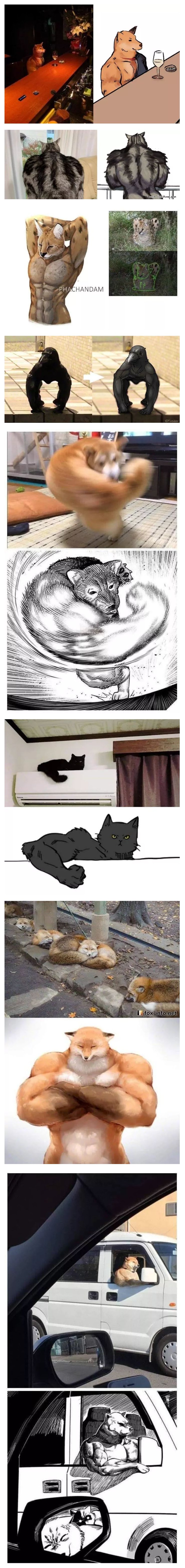   뚜뚜월드