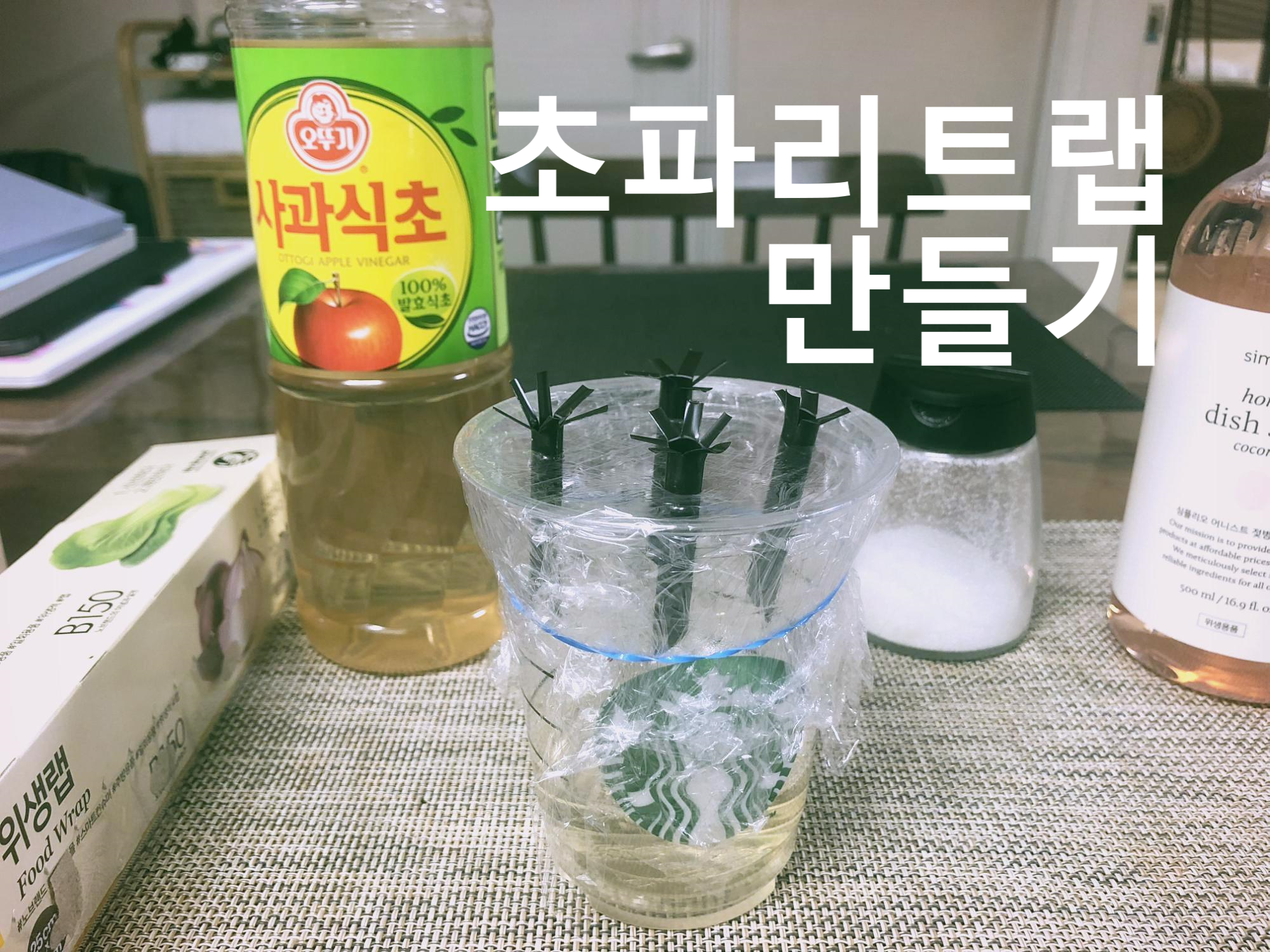  여름철 초파리 지옥 탈출, [초파리트랩 만들기]