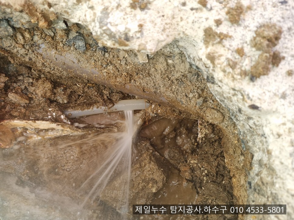  김천누수 제일누수 탐지공사.하수구 김천시 평화동 2층 상가주택 누수현장