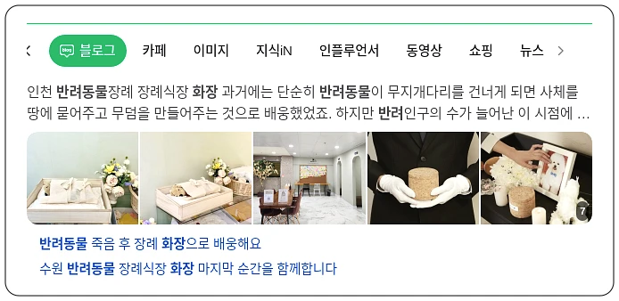 반려동물 화장_1_subsection