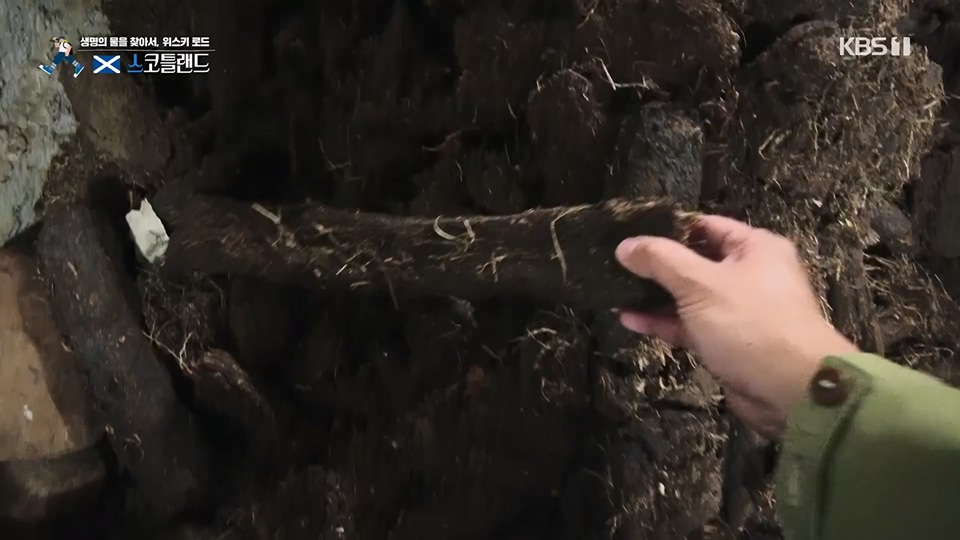 걸어서 세계속으로.E796.230617p.H264-F1RST.mp4_20230623_212622.706.jpg