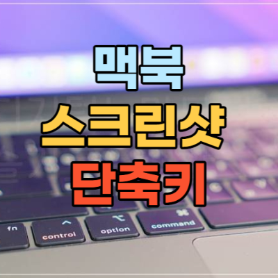 포스팅 대문 사진