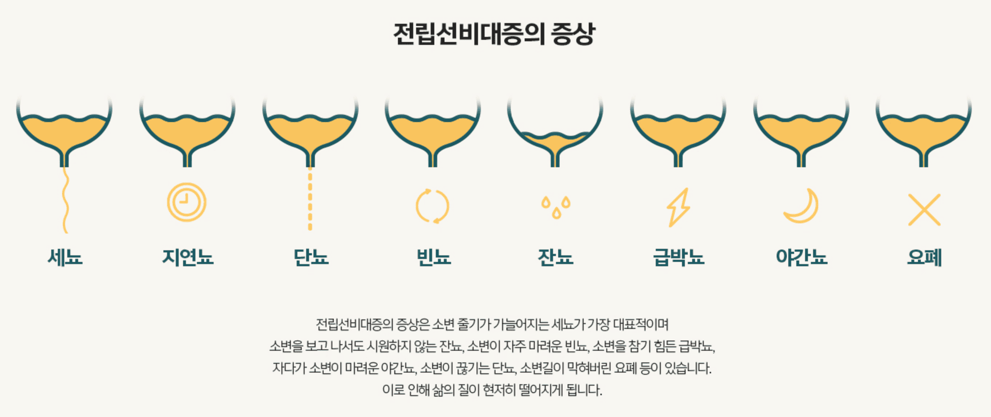 전립선비대증치료 전립선비대증수술비용 비뇨기과남성수술비용 