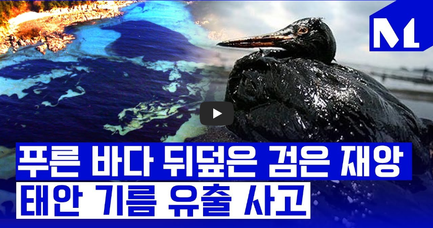  [기적!!] 123만 명의 노력이 살린 충남 태안 앞바다, 다시 보는 건 기적!!/ 역사 속 오늘의 사건(2022.12.7.)