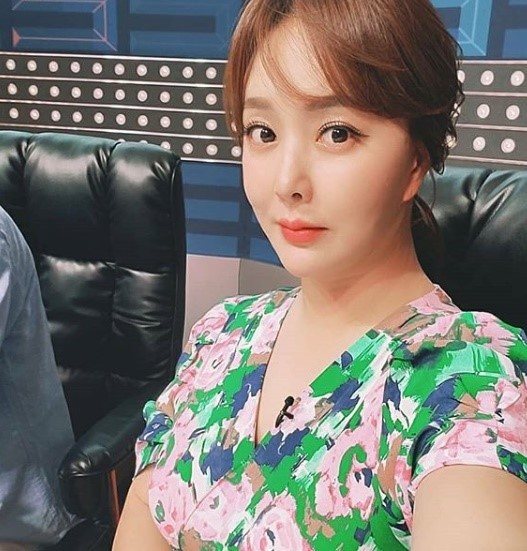 가수