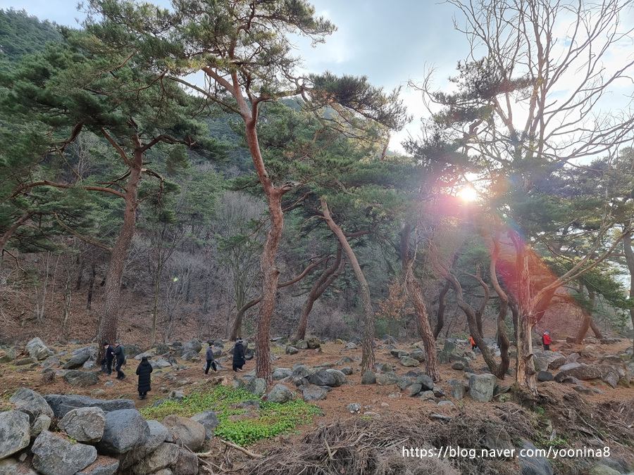 클라이밍 충남교육청 청소년지도사 20