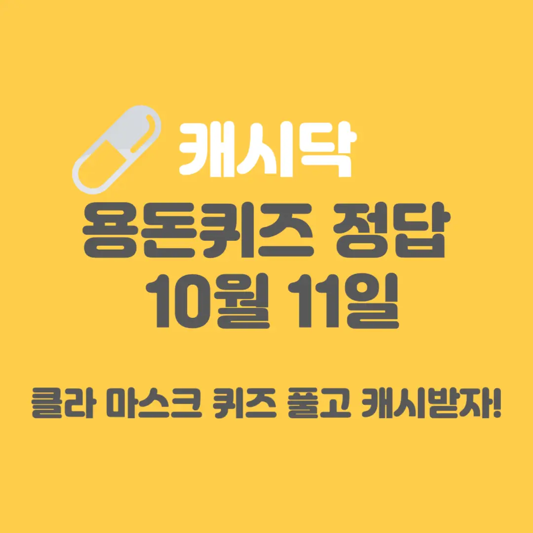 클라-마스크-캐시닥