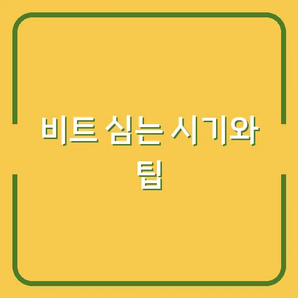 비트 심는 시기와 팁