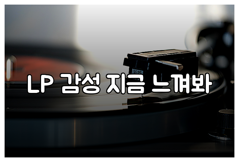 LP 감성 지금 느껴봐