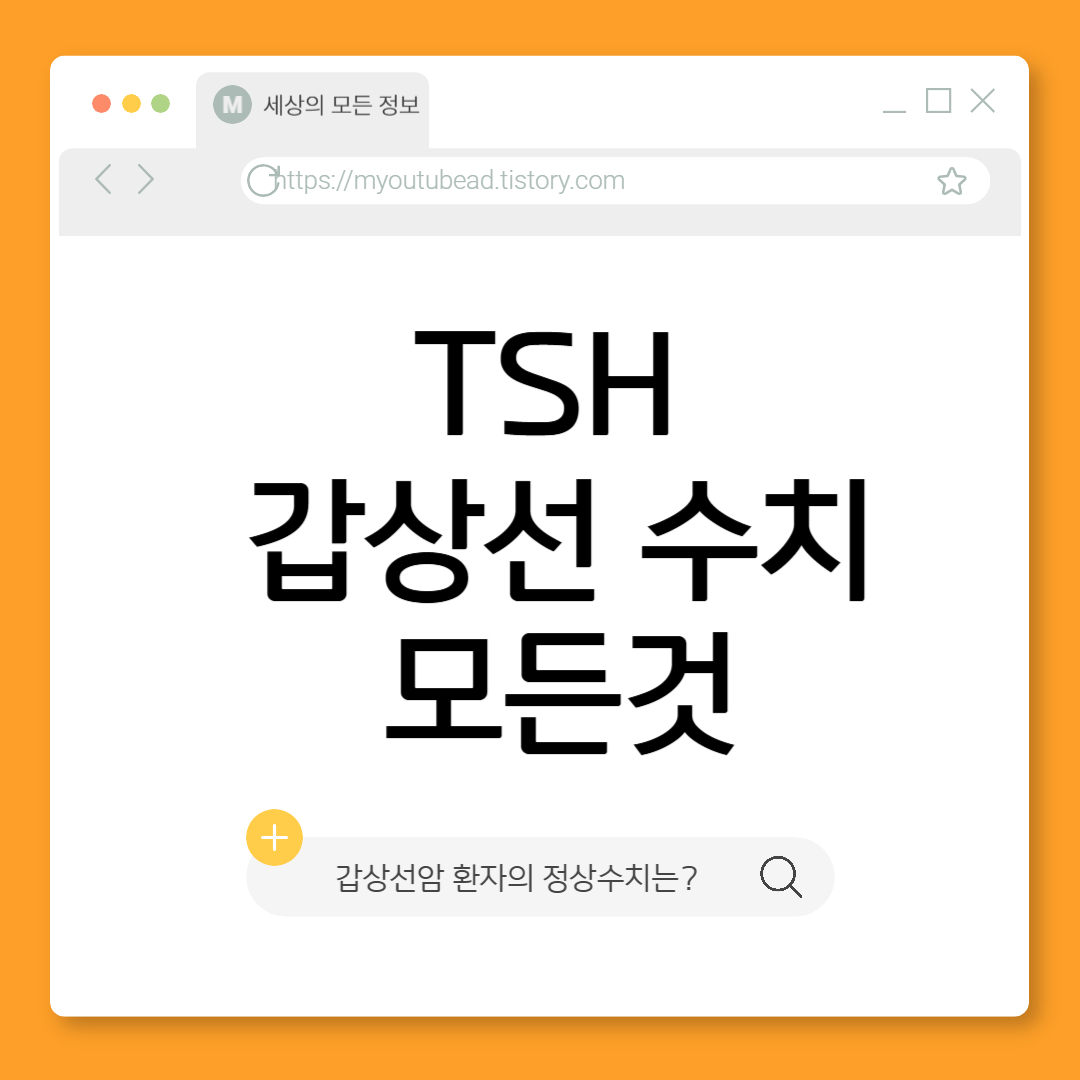갑상선 수치 보는 방법
