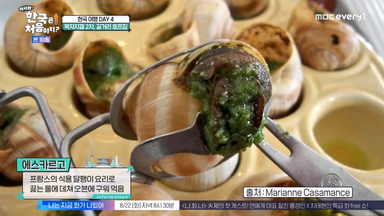 어서와 한국은 처음이지 시즌2.E276.230818p-NEXT.mp4_20230818_203552.228.jpg