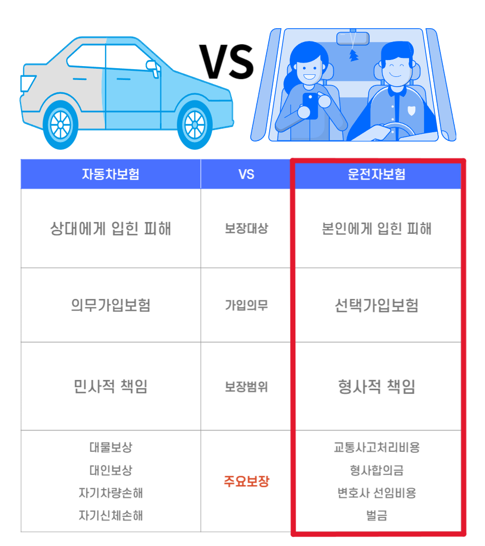  운전자 보험 (총정리)