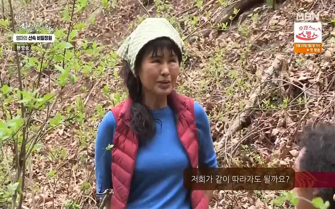 나는 자연인이다.E501.220512p-NEXT.mp4_20220512_185616.227.jpg