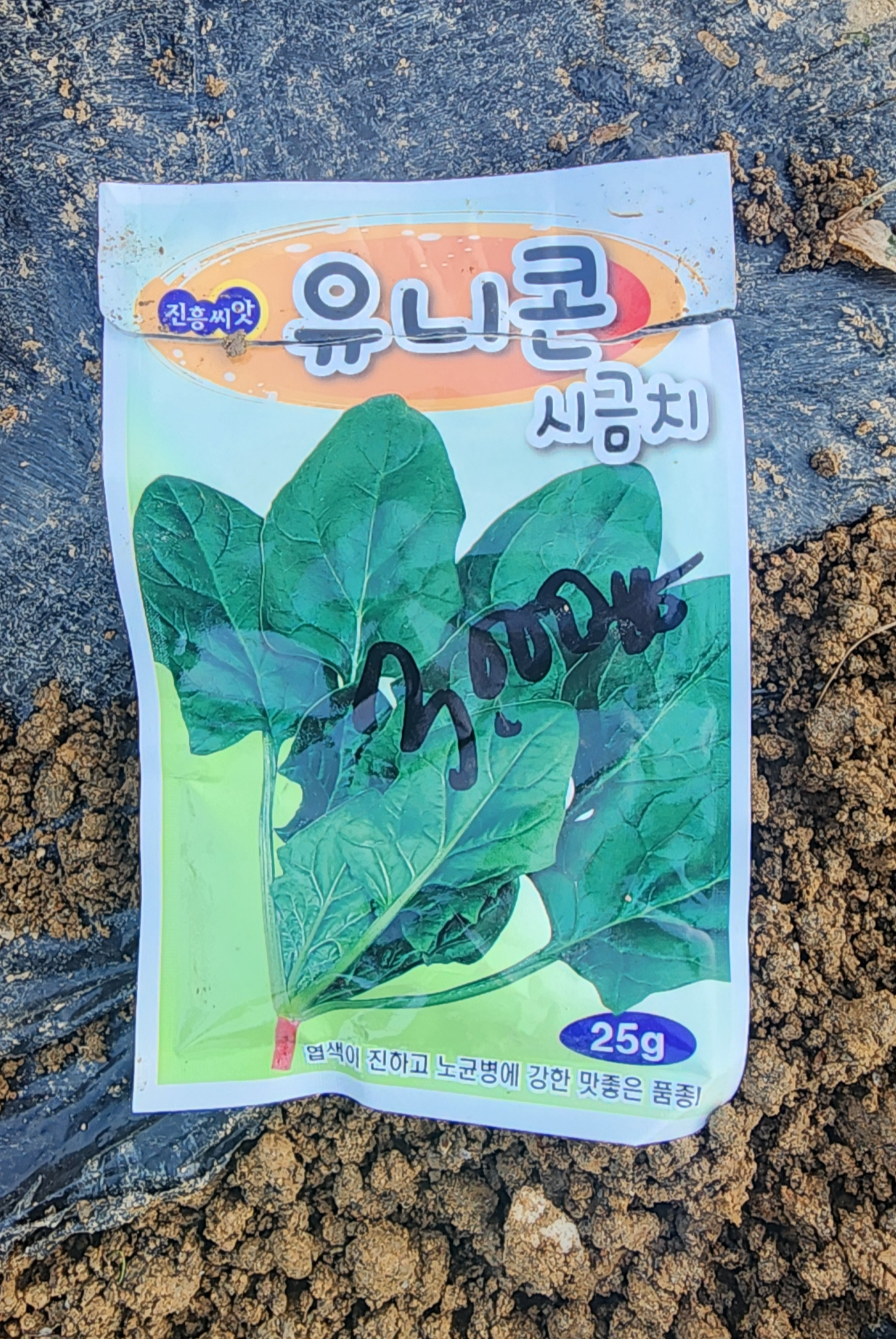 오늘 심은 유니콘 시금치 3,000원
