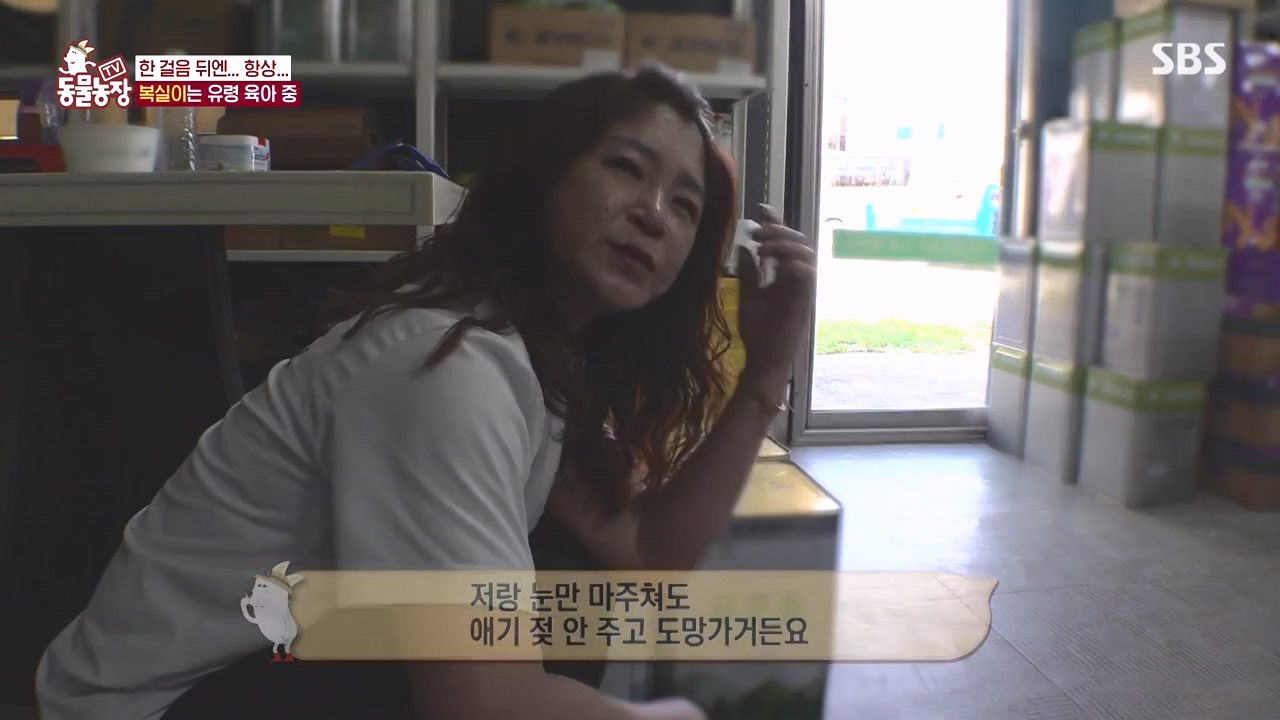TV 동물농장.E1135.230828p-NEXT.mp4_20230827_180826.858.jpg