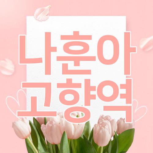 나훈아 고향역