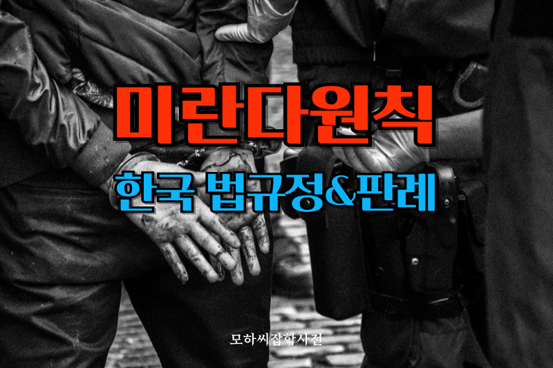 미란다원칙 썸네일