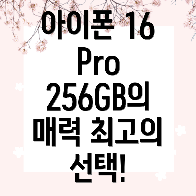 아이폰 16 Pro 256GB 가격 차이