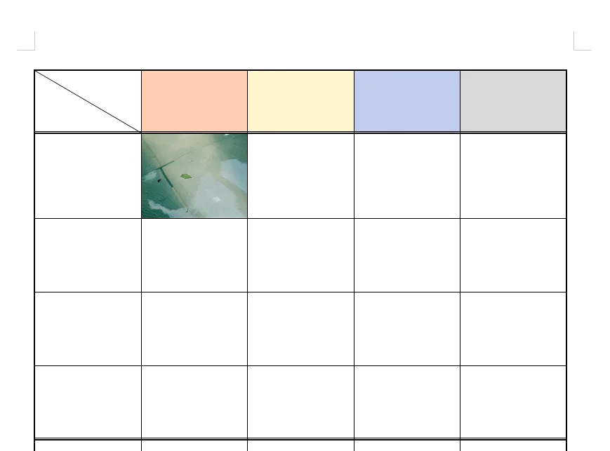 표 안에 사진이 여백 없이 들어간 모습