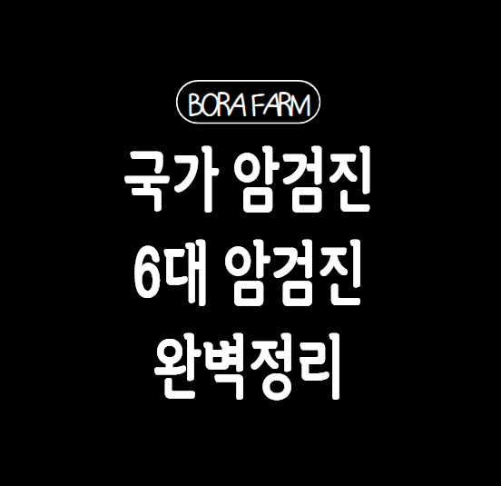 국가-암검진-사업