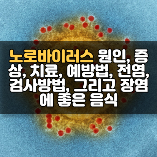 노로바이러스 원인, 증상, 치료, 예방법, 전염, 검사방법, 그리고 장염에 좋은 음식