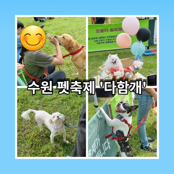 수원 펫 축제