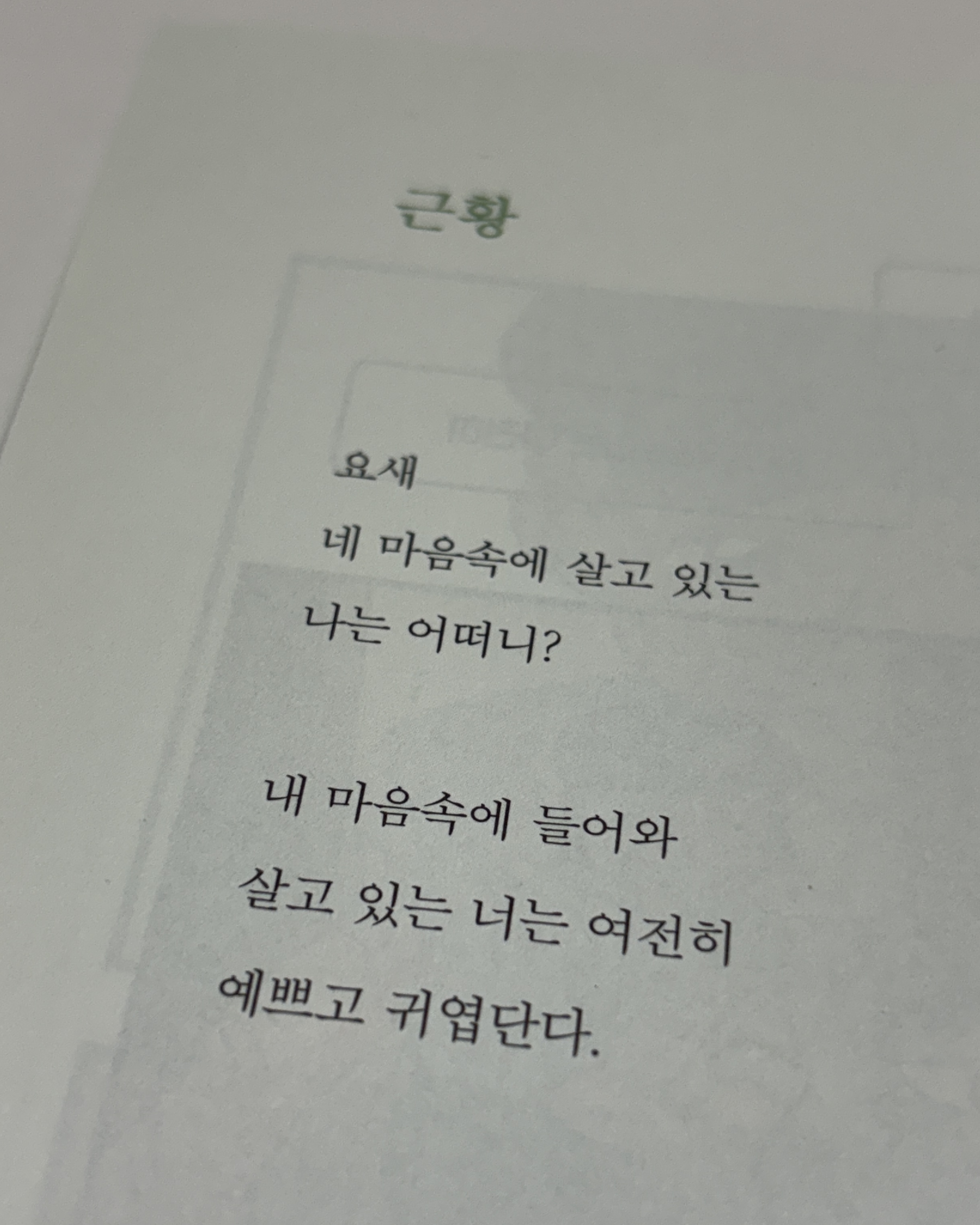다홍 이미지