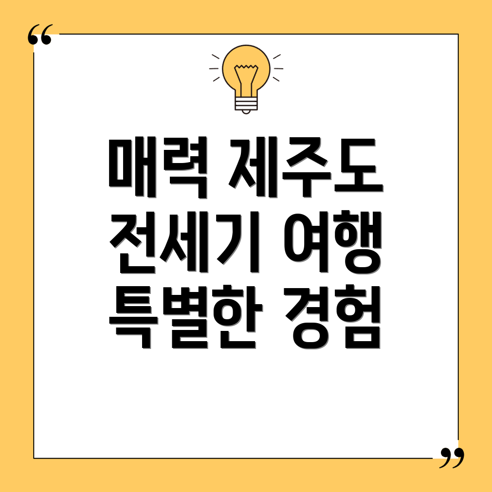 전세기 비행기