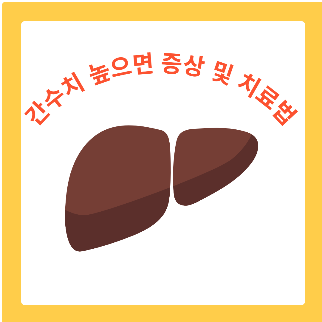  간수치가 높으면 건강에 미치는 영향과 관리법