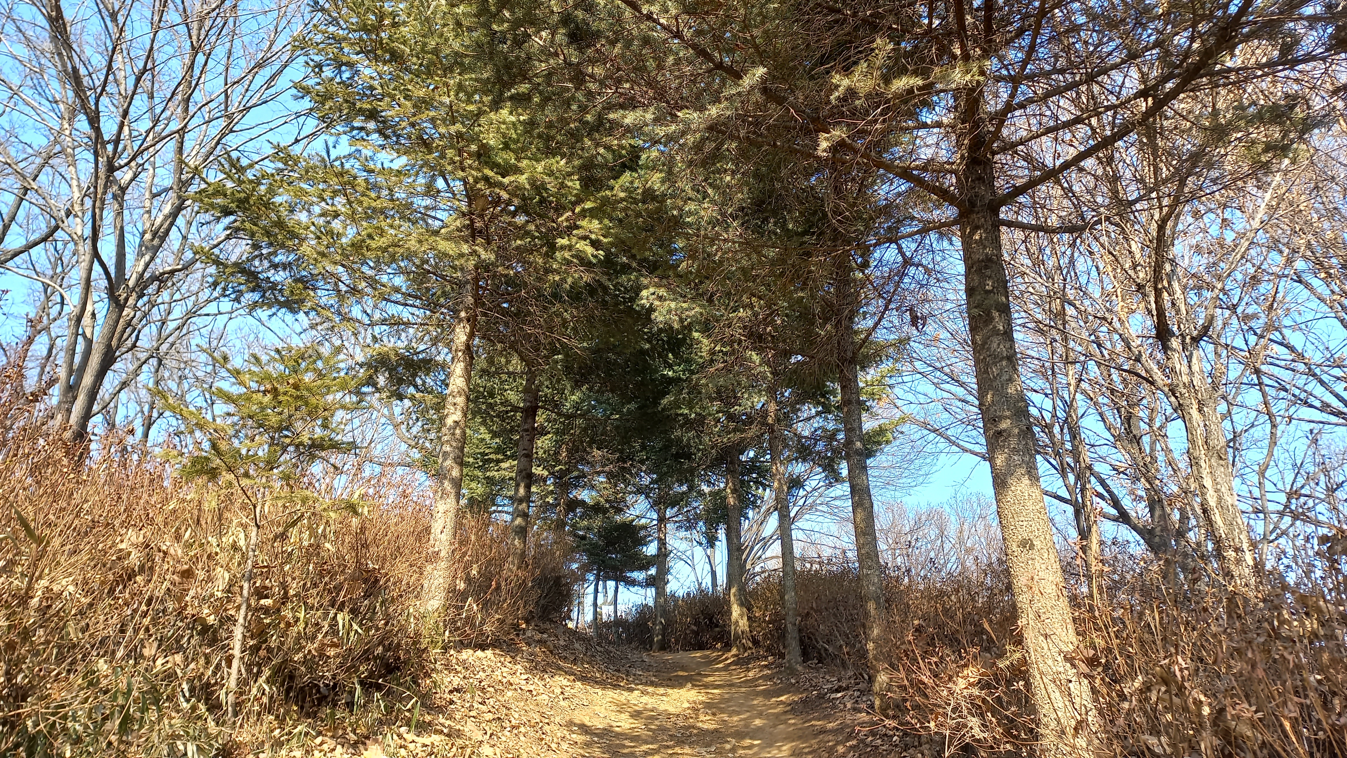 광명 산책하기 좋은 곳, 도덕산 캠핑장과 도덕산 정상 - 휴식같은 여행으로의 초대 이미지
