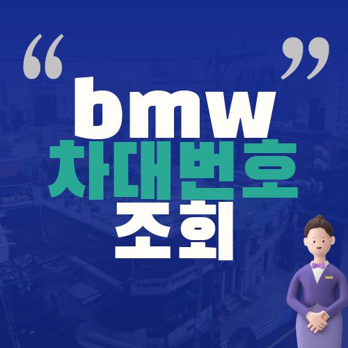 bmw 차대번호 조회