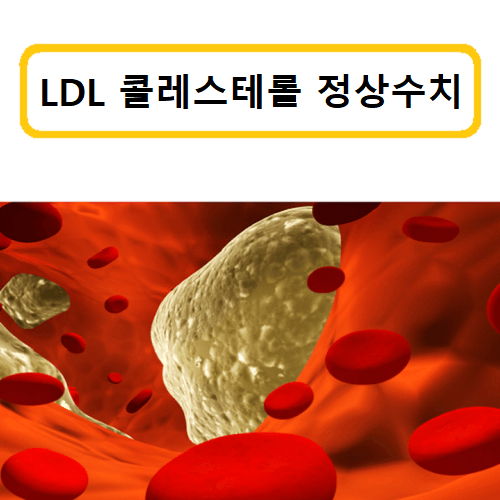 LDL-콜레스테롤-정상수치