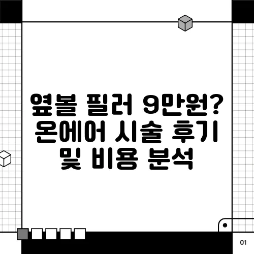 옆볼 필러 9만원? 온에어 시술 후기 및 비용 분석