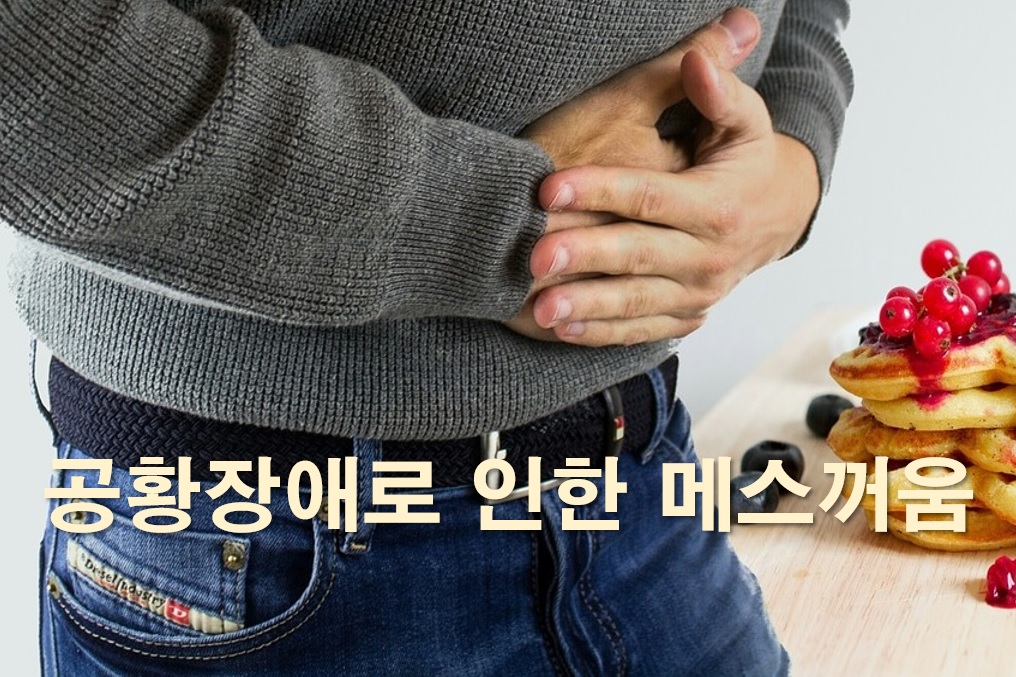  공황장애로 인한 메스꺼움 또는 복부 불편함
