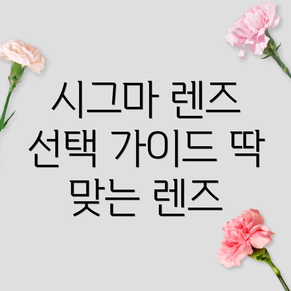 시그마2470mm렌즈선택가이드당신에게딱맞는렌즈찾기