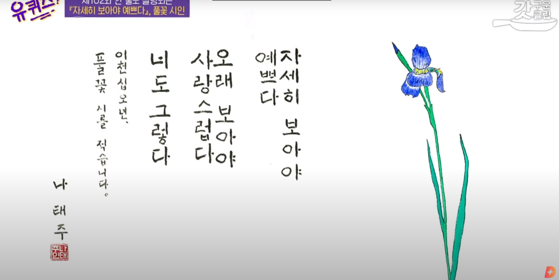  "자세히 보아야 예쁘다" 유퀴즈 나태주 시인 편을 보고