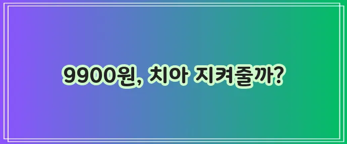 라이나 9900원 치아보험: 저렴한 가격, 풍부한 혜택을 알아보세요!