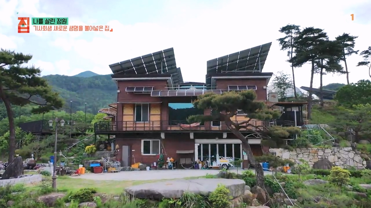 TV - 전 국민의 평생학교 EBS나를 살린 정원.mp4_20230814_211148.201.jpg