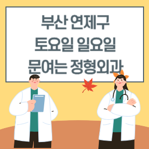 부산 연제구 토요일 일요일 정형외과 진료 병원 리스트