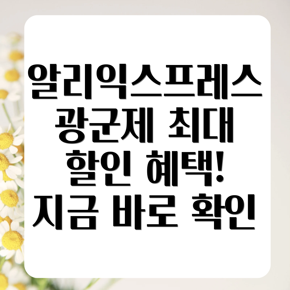 알리익스프레스 광군제