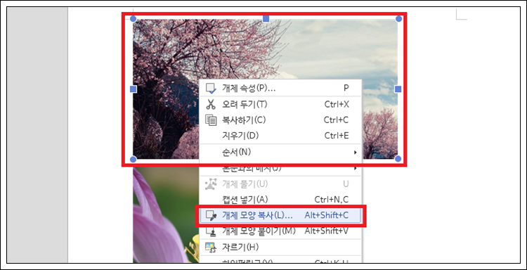 한글 이미지 사진 크기 동일하게 설정