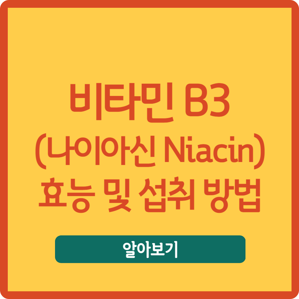 비타민 B3 (나이아신 Niacin) 효능 및 음식, 권장량, 주의사항