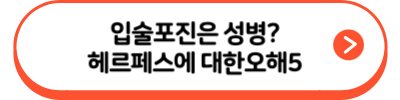 헤르페스2형