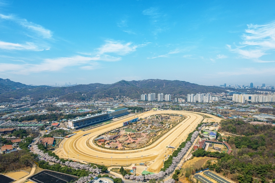 경기도 벚꽃축제&amp;#44; 벚꽃야경 정보