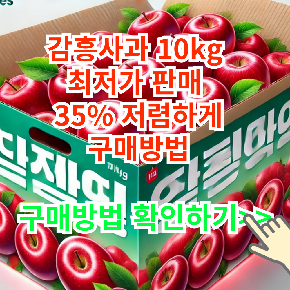 감흥사과 10kg 최저가 판매 35% 저렴하게 구매방법