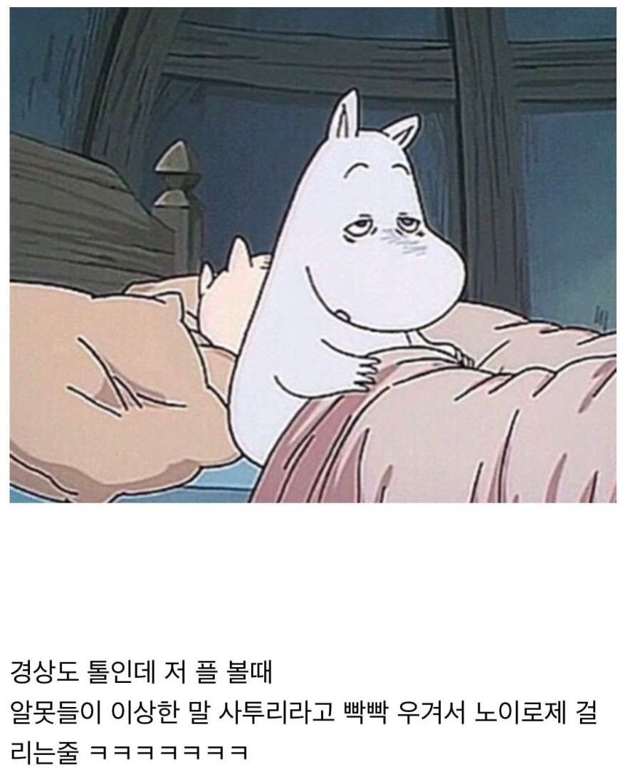 경상도 톨인데 저 플 볼때
알못들이 이상한 말 사투리라고 빡빡 우겨서 노이로제 걸
리는줄 ㅋㅋㅋㅋㅋㅋㅋ