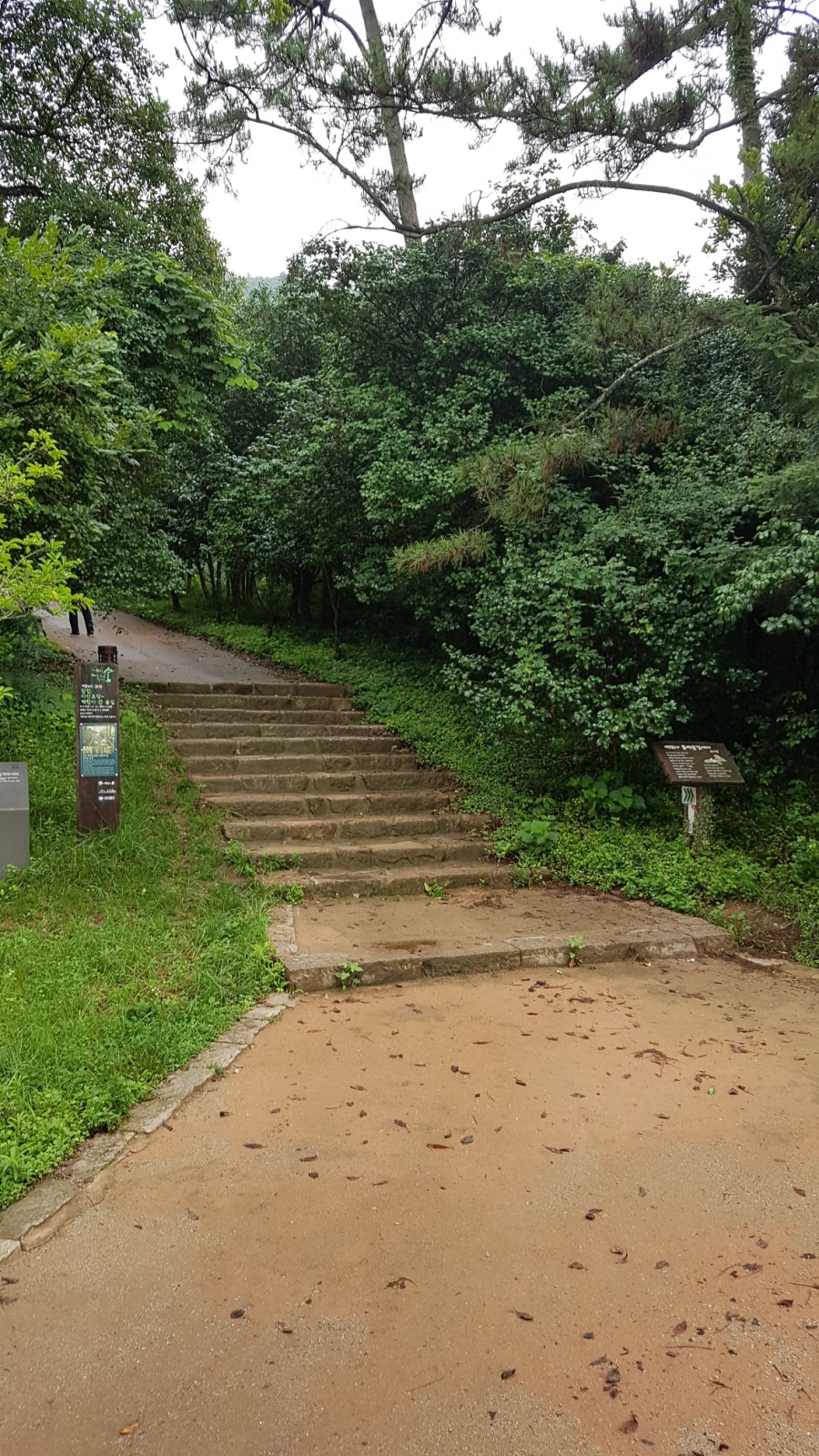 동백여행사1박2일 [국내 여행 / 남도 맛기행] 동백 여행사 14