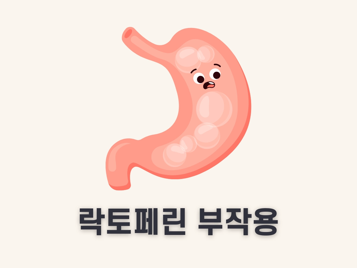 락토페린 부작용